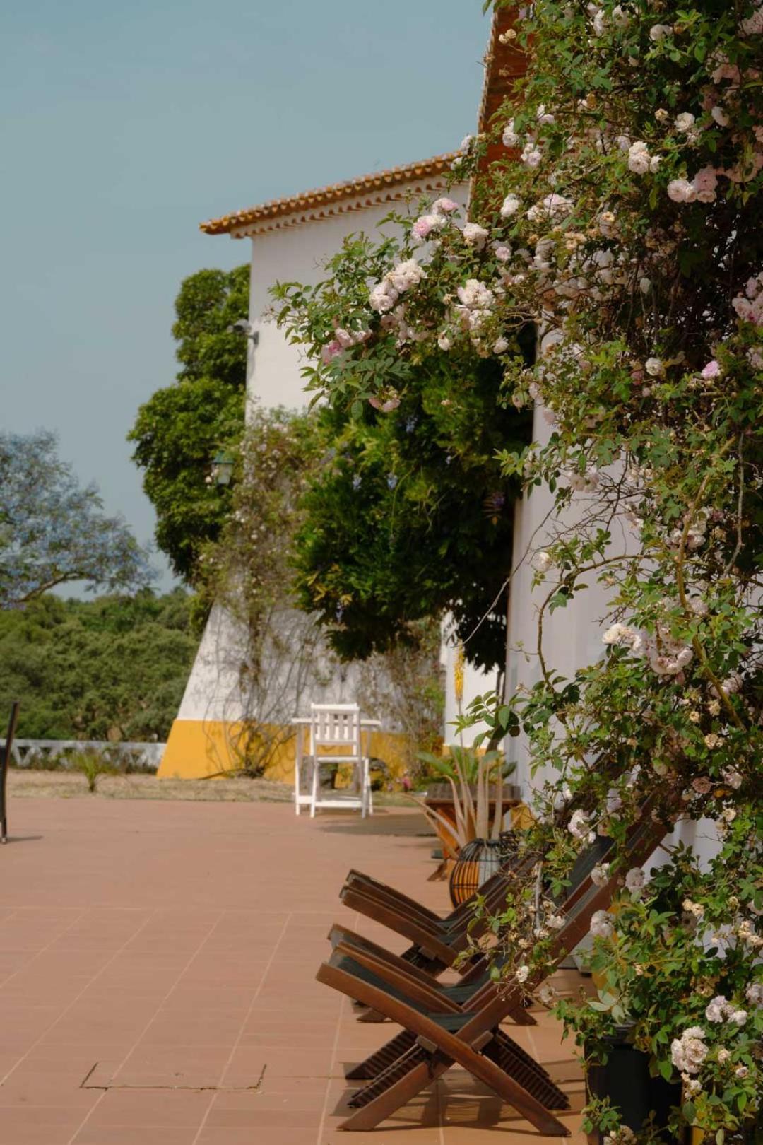 Herdade Vale De Cabras Portel Exteriör bild